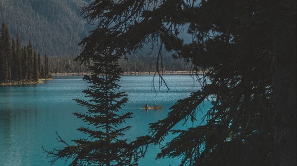 Lake Trees Mountains Image Wallpaper