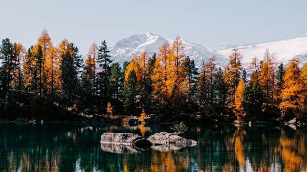 Lake Trees Mountains Picture Wallpaper