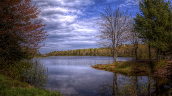 Lake Trees Sky Landscape Hdr Wallpaper