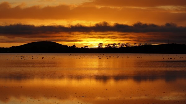 Lake Trees Sunset Image Wallpaper
