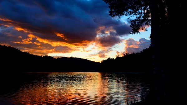 Lake Trees Sunset Picture Wallpaper