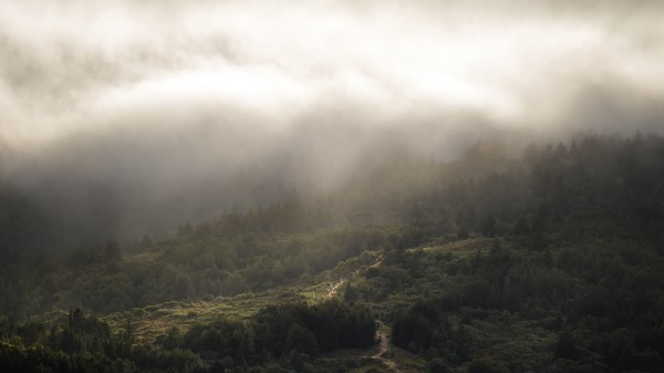 Landscape Aerial View Fog Image Wallpaper