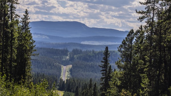 Landscape Hills Forest Wallpaper