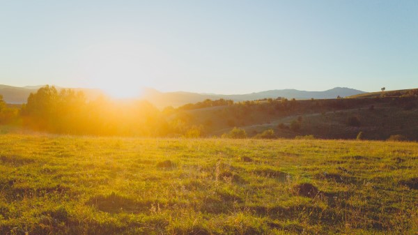 Lawn Hills Sunlight Wallpaper