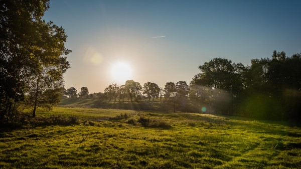 Lawn Sun Glare Wallpaper
