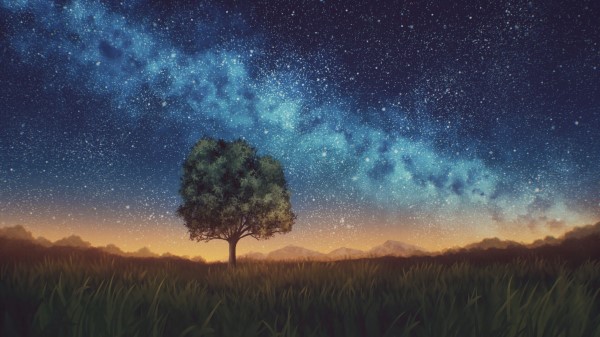 Lawn Tree Night Wallpaper