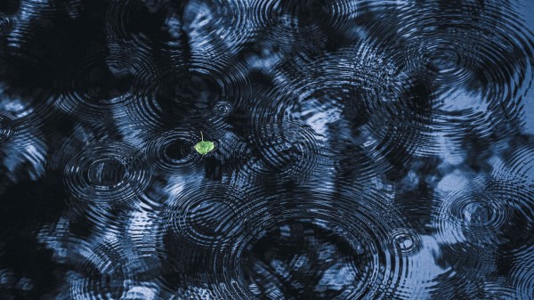 Leaf Ripples Streaks Wallpaper