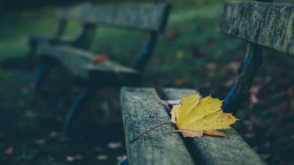Leaves Autumn Bench Wallpaper