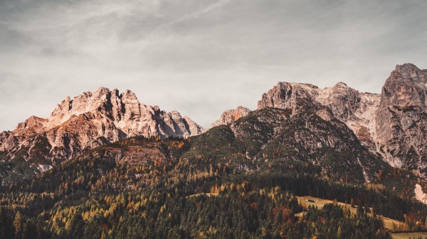 Leogang Austria Mountains Trees Wallpaper
