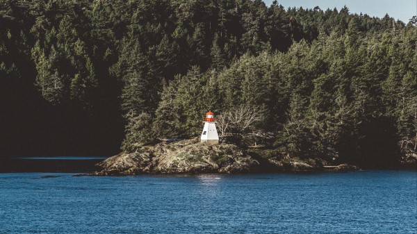 Lighthouse Sea Shore Trees Wallpaper