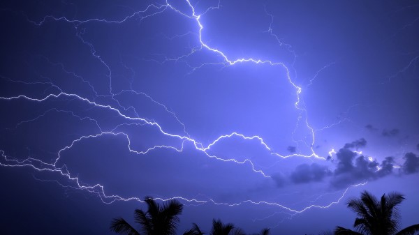 Lightning Storm Palm Wallpaper