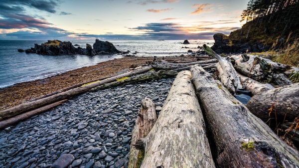 Logs Coast Sunset Wallpaper