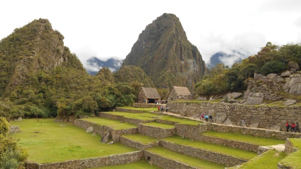 Machu Picchu Peru Buildings Grass Wallpaper