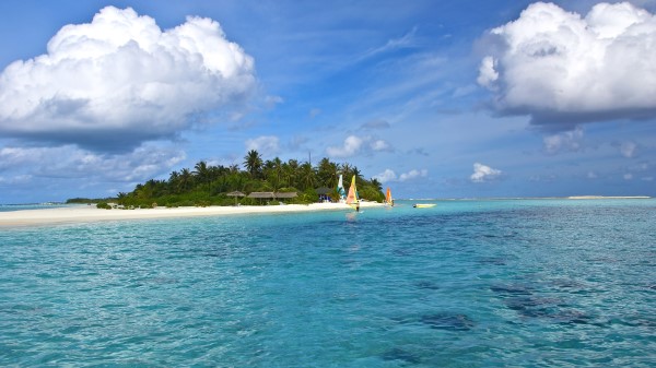 Maldives Beach Tropical Sea Sand Palm Trees Island Wallpaper