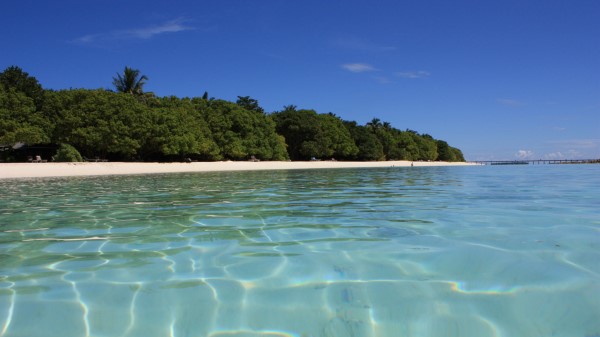 Maldives Sea Summer Beach Wallpaper