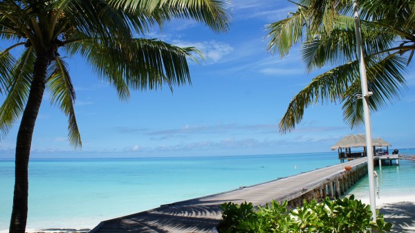 Maldives Tropical Beach Beautiful Wallpaper