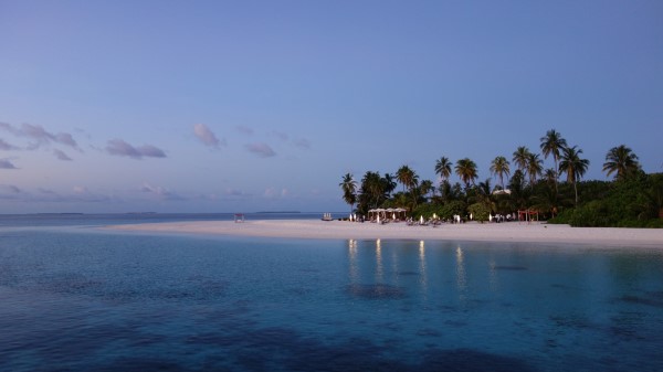 Maldives Tropical Beach Palm Trees Evening Wallpaper