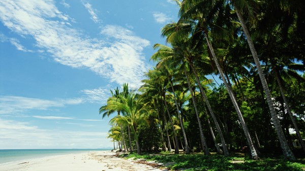 Maldives Tropical Beach Wallpaper