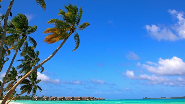 Maldives Tropical Beach Summer Wallpaper