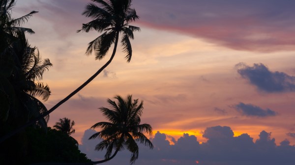 Maldivian Sunset Ad Wallpaper