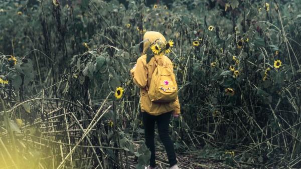 Man Field Flowers Wallpaper