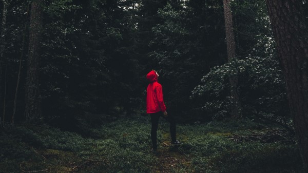 Man Forest Alone Wallpaper