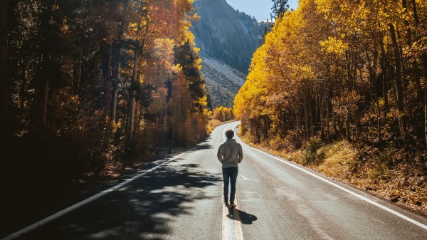 Man Road Autumn Wallpaper