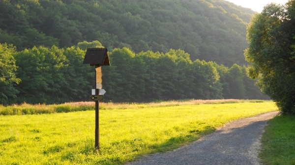 Meadow Grass Road Sign Trees Wallpaper