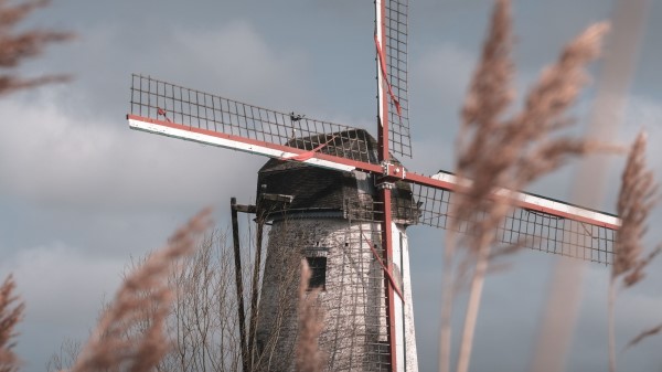 Mill Wind Grass Wallpaper