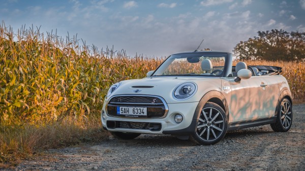 Mini Cooper Convertible Field Wallpaper