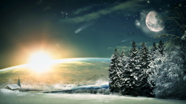 Moon Fir Trees Birds Wood Sun Light Winter Snow Wallpaper