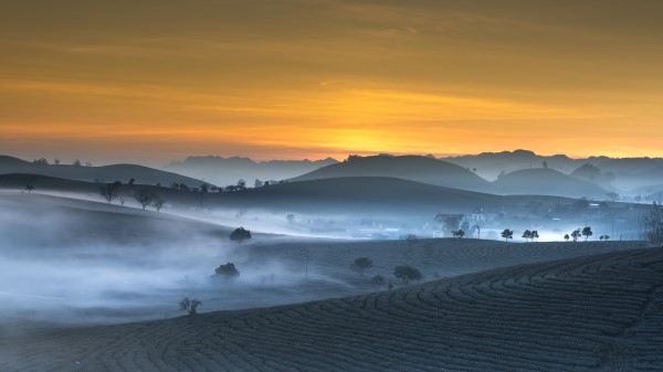 Morning In The Farmyard Wallpaper