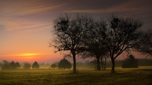 Morning Sky Trees Dawn Early Fog Wallpaper