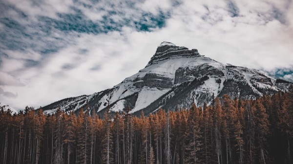 Mountain Bottom View Trees Wallpaper