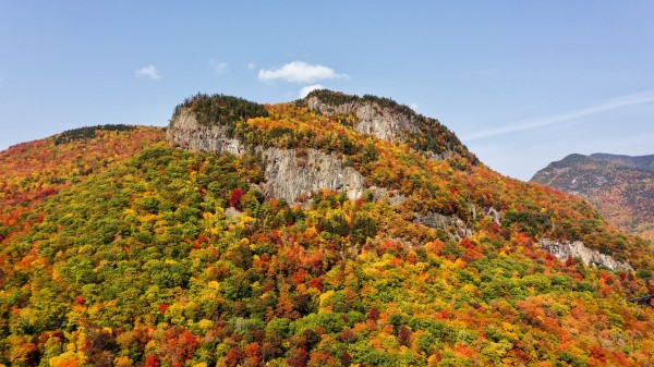 Mountain Forest Slope Wallpaper