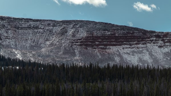 Mountain Forest Trees Image Wallpaper