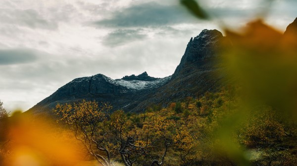 Mountain Grass Blur Wallpaper