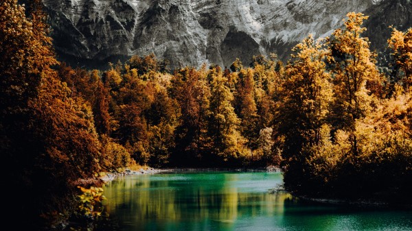 Mountain Lake Trees Image Wallpaper
