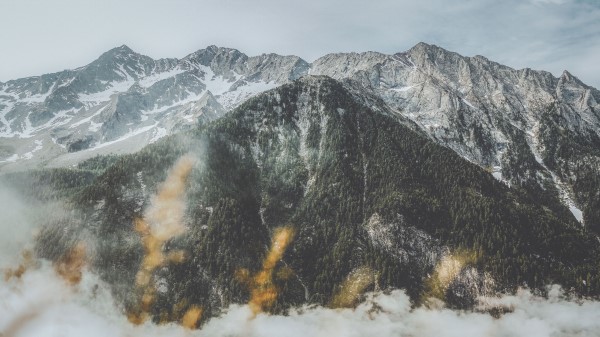 Mountain Peak Fog Picture Wallpaper