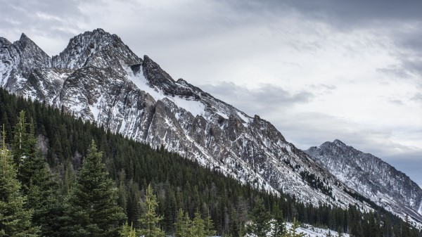 Mountain Peak Forest Img Wallpaper