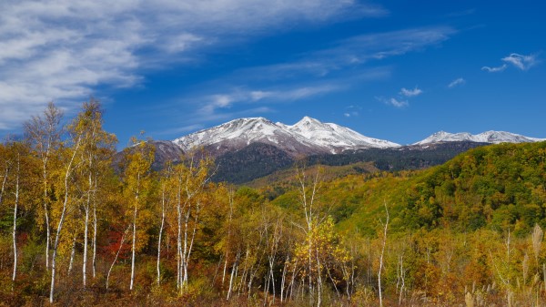 Mountain Peak Forest Ph Wallpaper