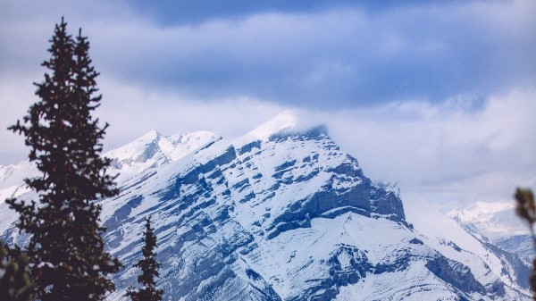 Mountain Peak Forest Photo Wallpaper