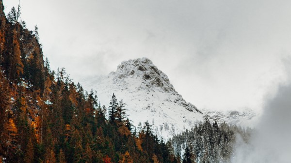 Mountain Peak Forest Pic Wallpaper