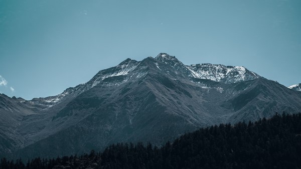 Mountain Peak Forest Picture Wallpaper