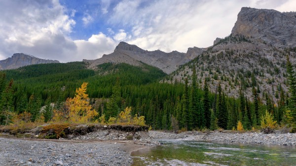 Mountain Peak Trees Img Wallpaper