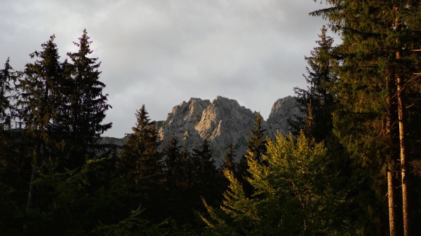 Mountain Peak Trees Pic Wallpaper