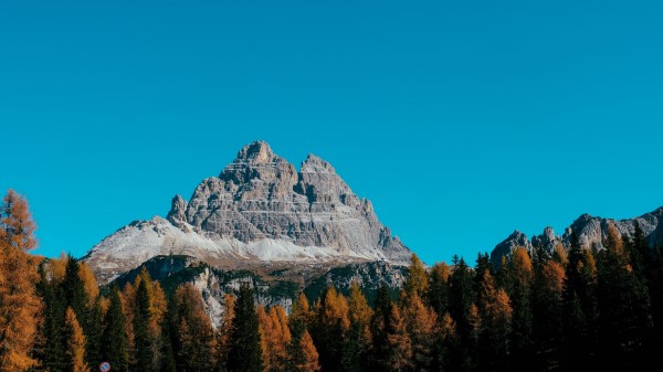 Mountain Peak Trees Wallpaper