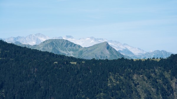 Mountain Range Mountains Trees Distance Wallpaper