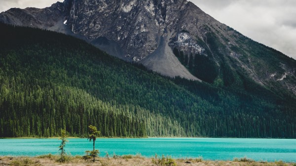 Mountain River Landscape Wallpaper