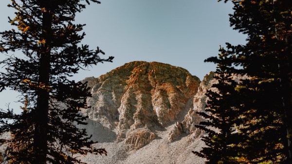 Mountain Rocks Spruce Wallpaper